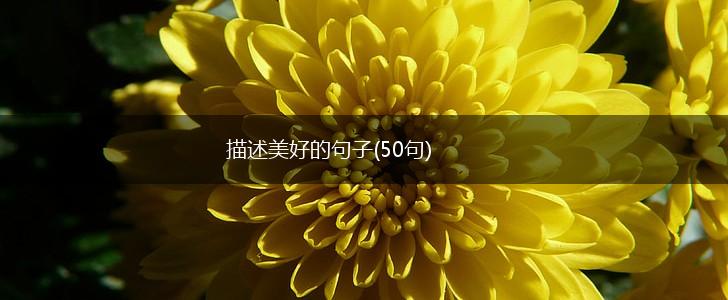 描述美好的句子(50句),第1张