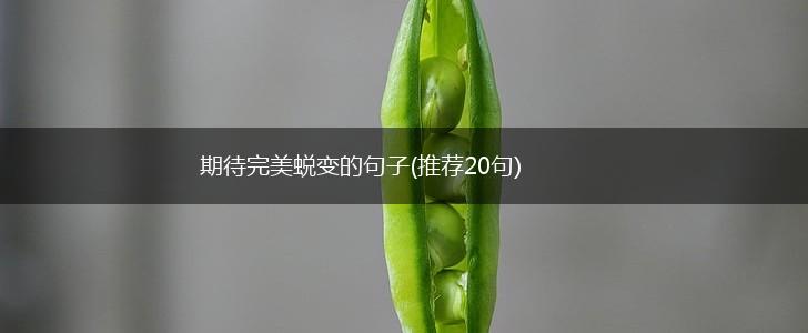 期待完美蜕变的句子(推荐20句),第1张