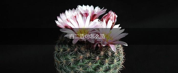 百二造句怎么造,第1张