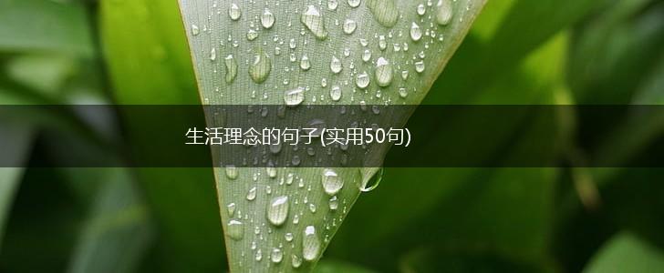 生活理念的句子(实用50句),第1张