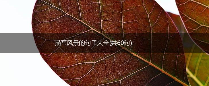 描写风景的句子大全(共60句),第1张