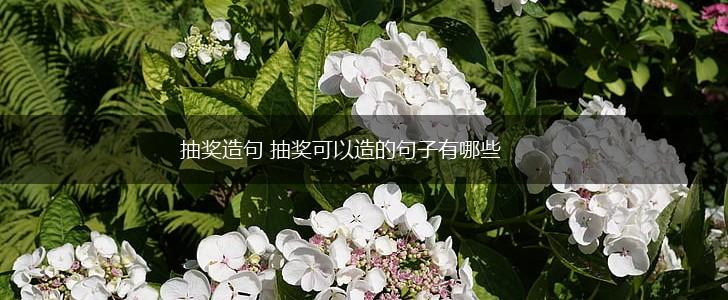 抽奖造句 抽奖可以造的句子有哪些,第1张