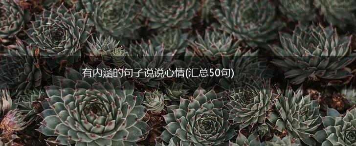 有内涵的句子说说心情(汇总50句),第1张