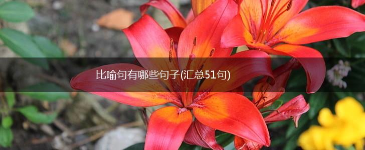 比喻句有哪些句子(汇总51句),第1张