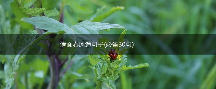 满面春风造句子(必备30句),第1张
