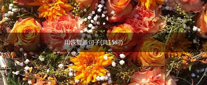 用恢复造句子(共15句),第1张