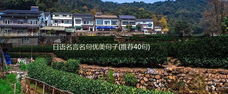 日语名言名句优美句子(推荐40句),第1张