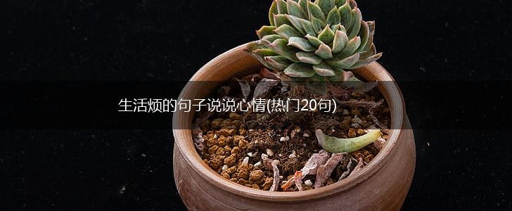 生活烦的句子说说心情(热门20句),第1张