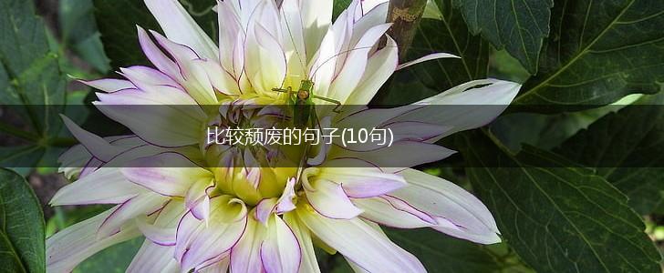 比较颓废的句子(10句),第1张