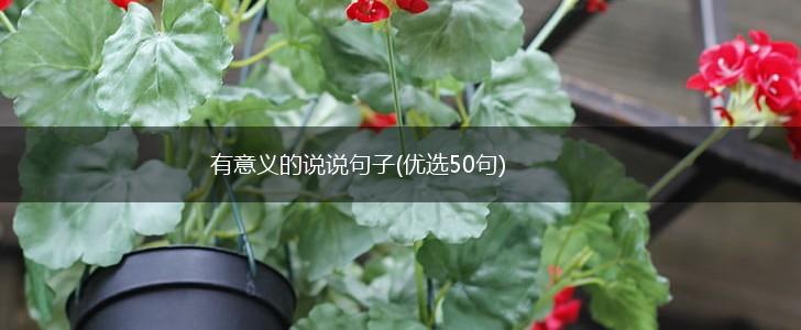 有意义的说说句子(优选50句),第1张