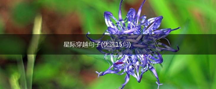 星际穿越句子(优选15句),第1张
