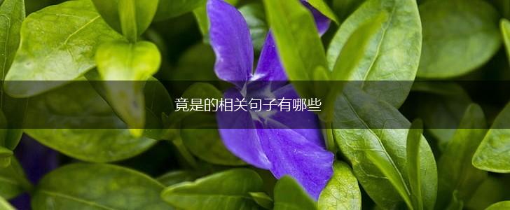 竟是的相关句子有哪些,第1张