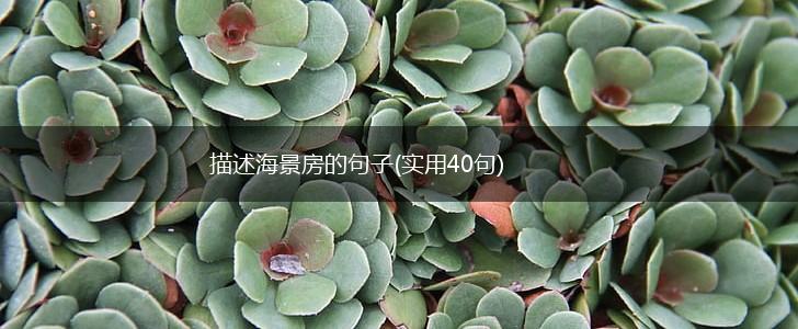 描述海景房的句子(实用40句),第1张