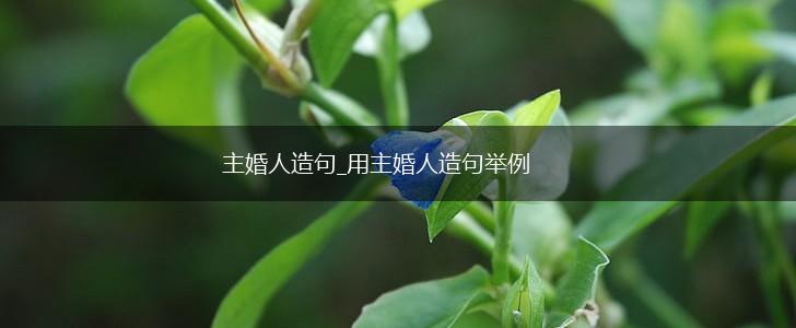 主婚人造句_用主婚人造句举例,第1张