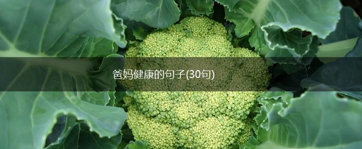 爸妈健康的句子(30句),第1张