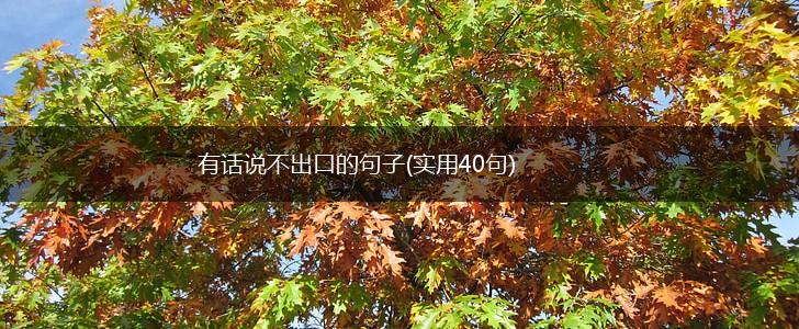 有话说不出口的句子(实用40句),第1张