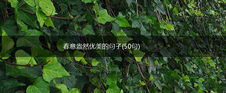 春意盎然优美的句子(50句),第1张