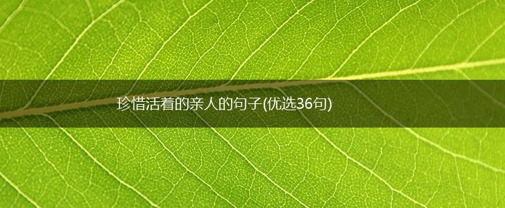 珍惜活着的亲人的句子(优选36句),第1张