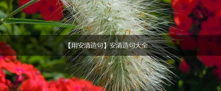【用安清造句】安清造句大全,第1张