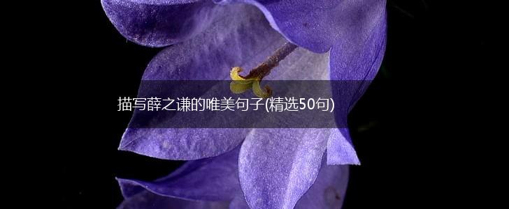 描写薛之谦的唯美句子(精选50句),第1张