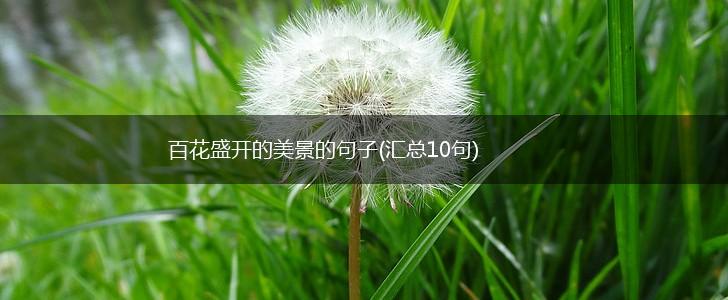 百花盛开的美景的句子(汇总10句),第1张