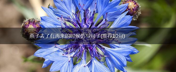 燕子去了有再来的时候仿写句子(推荐10句),第1张