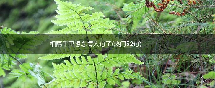相隔千里想念情人句子(热门52句),第1张