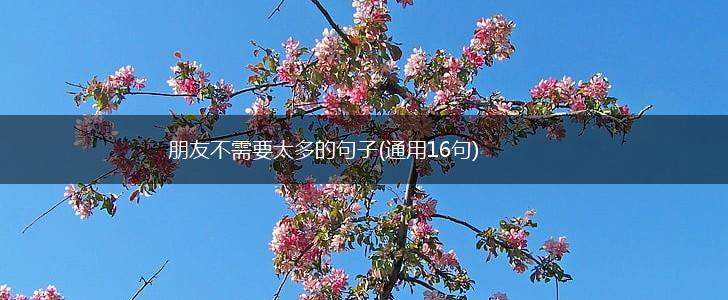 朋友不需要太多的句子(通用16句),第1张