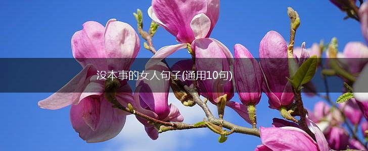 没本事的女人句子(通用10句),第1张