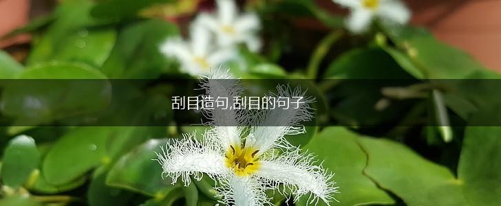 刮目造句,刮目的句子,第1张