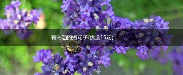 有内涵的短句子(优选15句),第1张