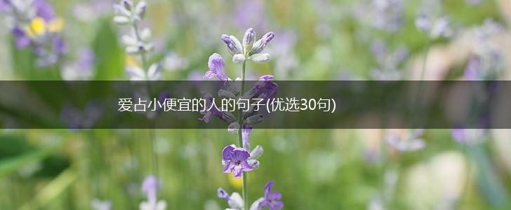 爱占小便宜的人的句子(优选30句),第1张
