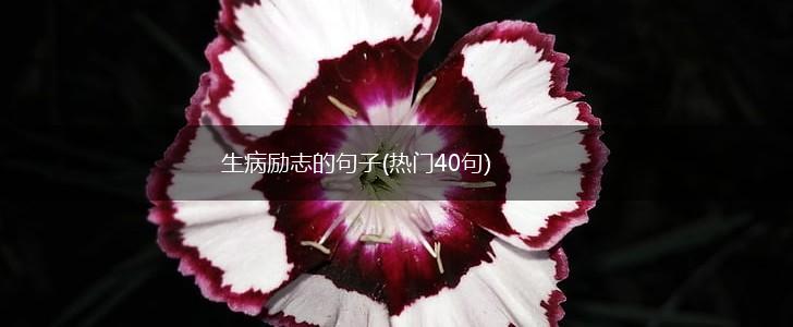 生病励志的句子(热门40句),第1张