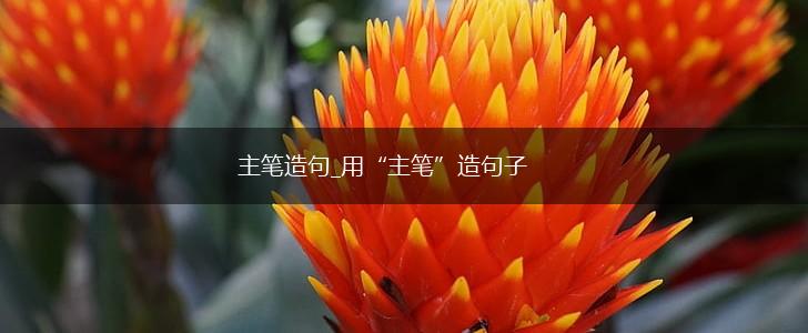 主笔造句_用“主笔”造句子,第1张