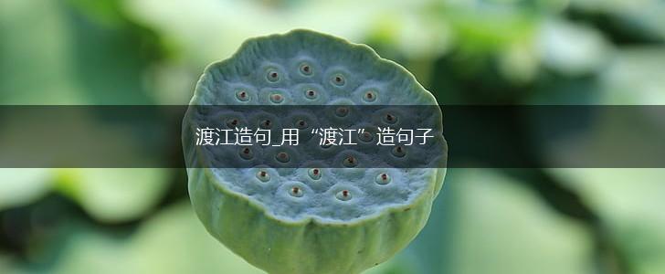 渡江造句_用“渡江”造句子,第1张