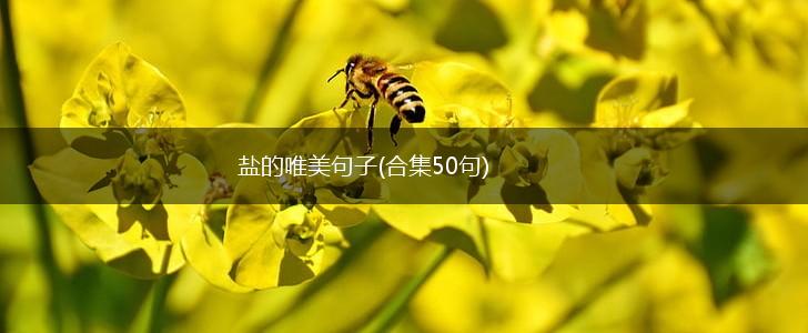 盐的唯美句子(合集50句),第1张