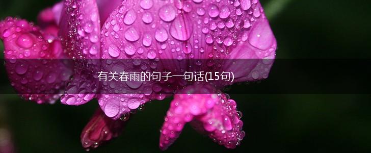有关春雨的句子一句话(15句),第1张