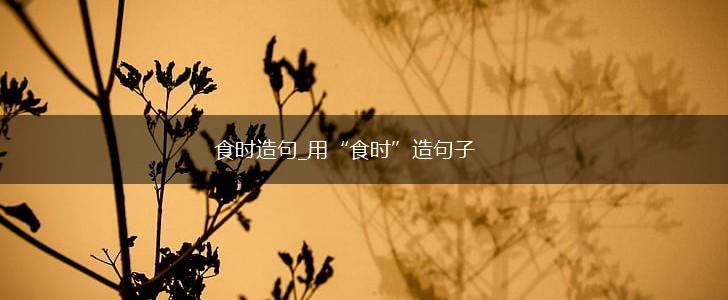 食时造句_用“食时”造句子,第1张