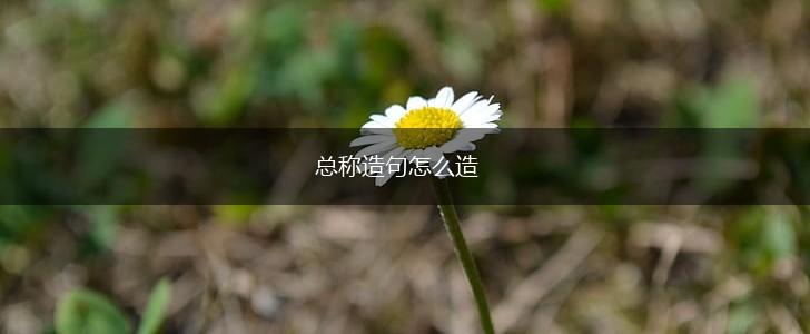 总称造句怎么造,第1张