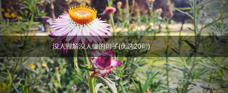 没人理解没人懂的句子(优选20句),第1张