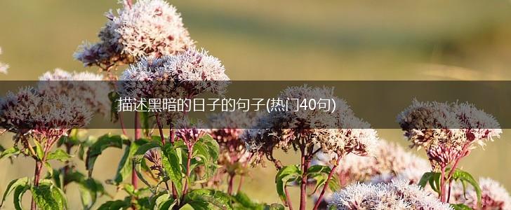 描述黑暗的日子的句子(热门40句),第1张