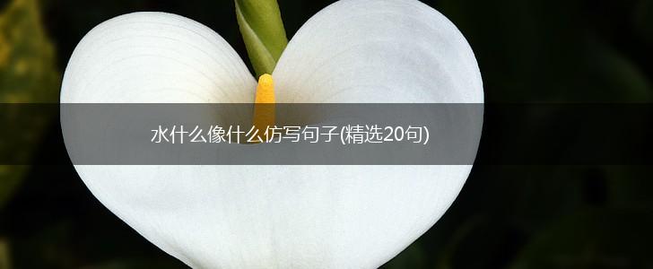 水什么像什么仿写句子(精选20句),第1张