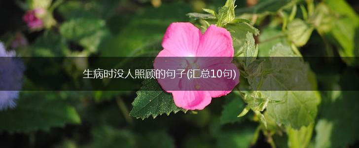 生病时没人照顾的句子(汇总10句),第1张