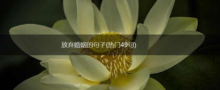 放弃婚姻的句子(热门49句),第1张