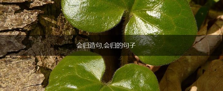 会归造句,会归的句子,第1张