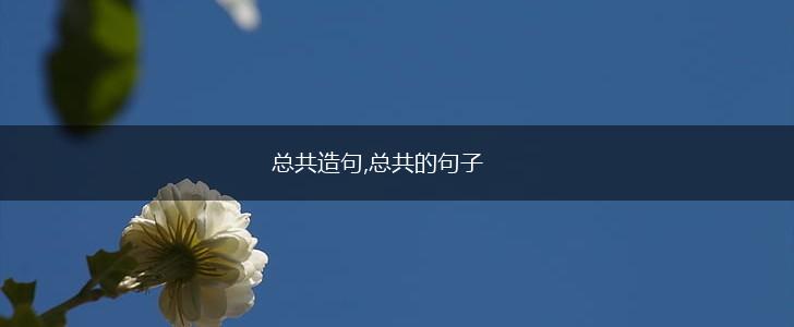 总共造句,总共的句子,第1张
