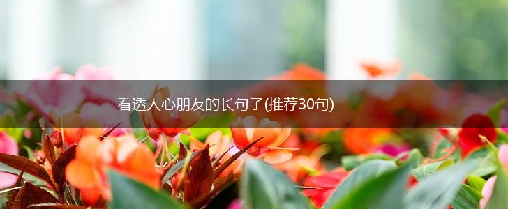 看透人心朋友的长句子(推荐30句),第1张