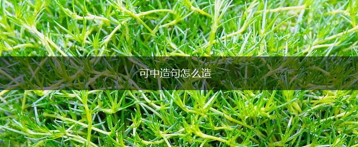 可中造句怎么造,第1张