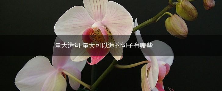 量大造句 量大可以造的句子有哪些,第1张