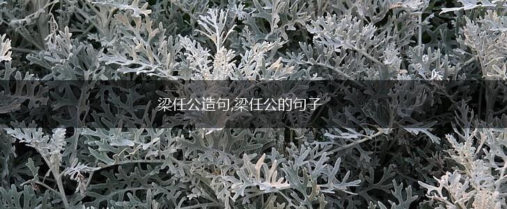 梁任公造句,梁任公的句子,第1张